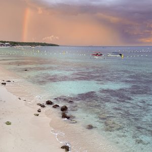 Playa Blanca + avistamiento de mapaches