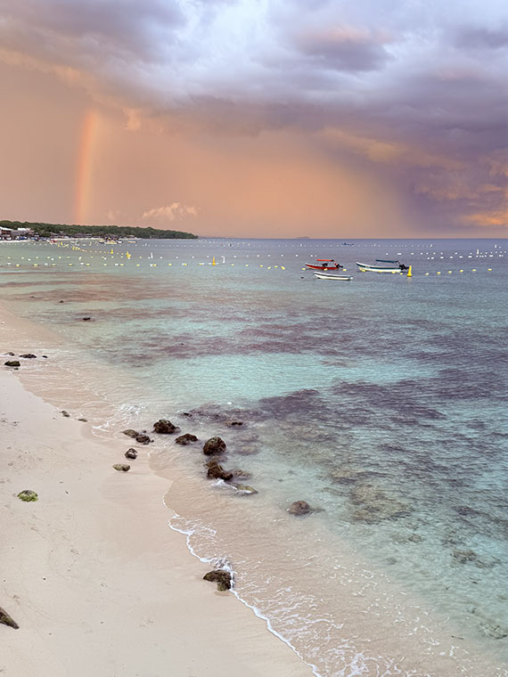 playa-blanca-avistamiento-de-mapaches