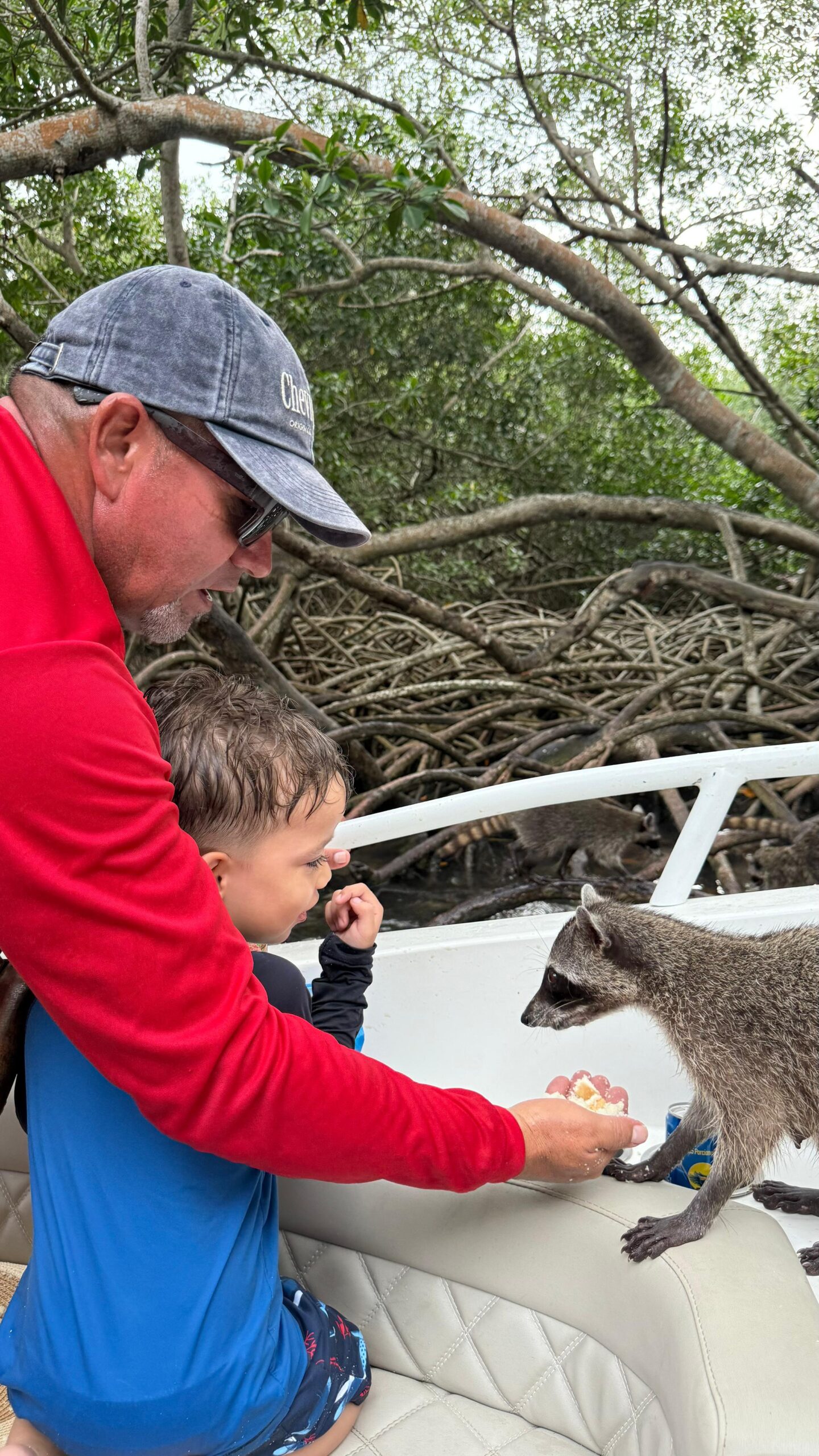 Family Plan - Imagen 2