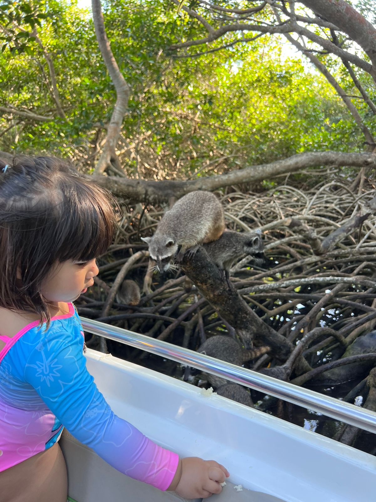 Family Plan - Imagen 4